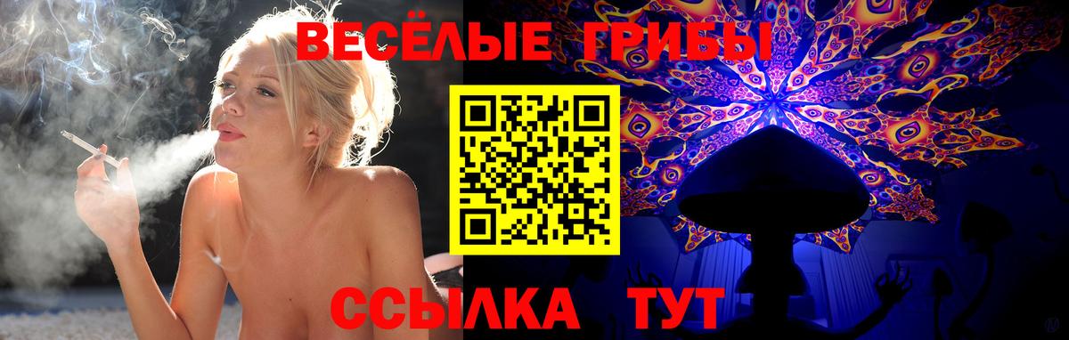 Сухой Лог  Галлюциногенные грибы мухоморы  Галлюциногенные грибы прущие грибы  Вход с VPN 